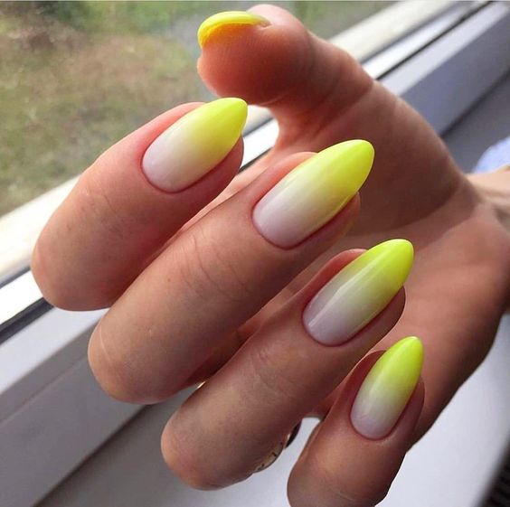 19 Trending Summer Nails Ombre 2024 Ideas - Master the Latest Chic & Stylish Looks!