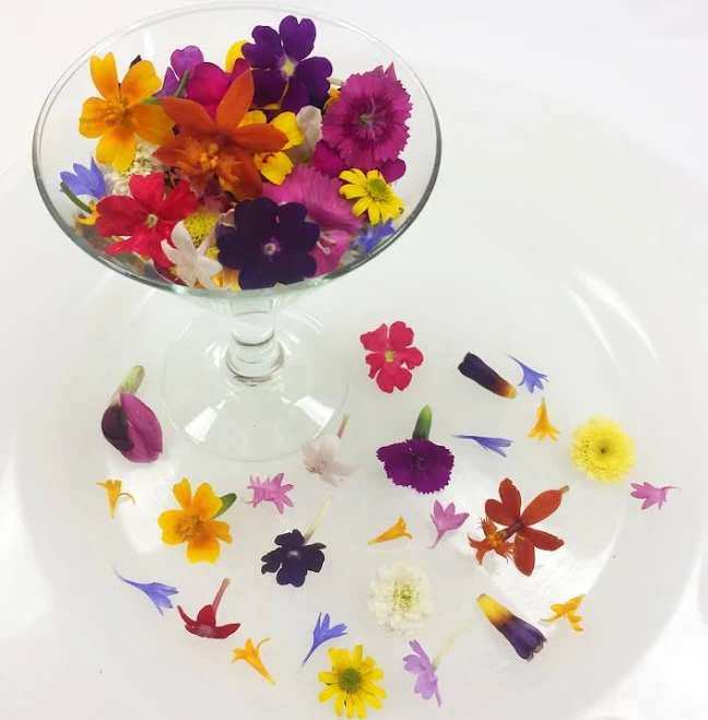 tool Gourmet Sweet Botanicals Fresh Micro Flowers Blend Edible Flowers Gourmet Sweet Botanicals $15.1