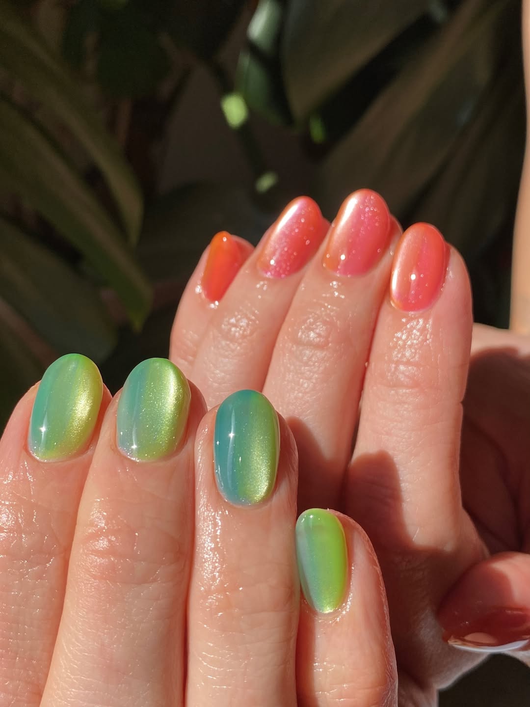 Vibrant Cat Eye Ombre Tropical Sorbet Nails