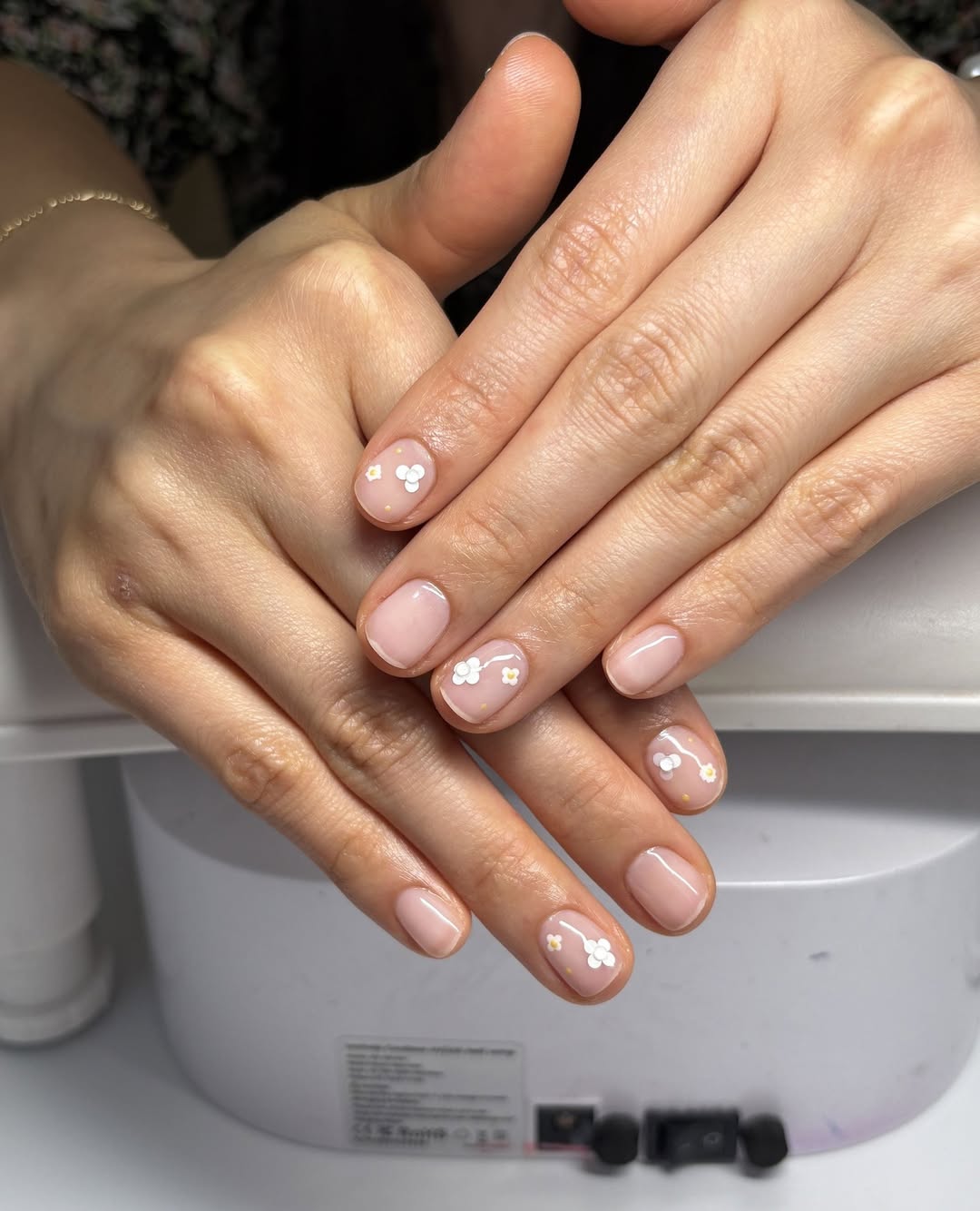 Sheer Pink Glossy White Daisy Short Round Nails