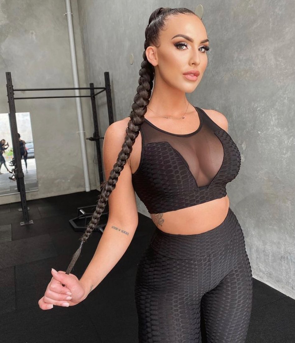 Sleek Braided Ponytail With Dark Extensions