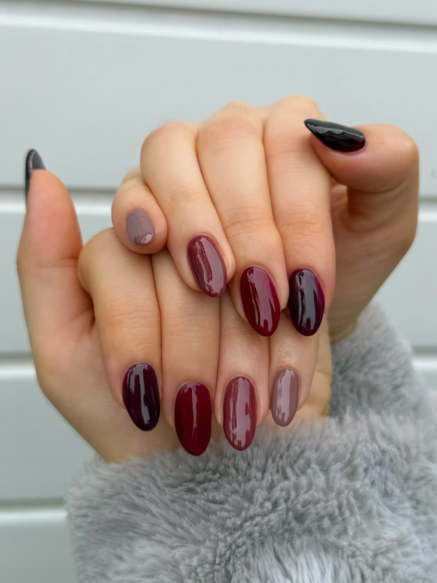 Assorted Deep Red and Taupe Oval Nails