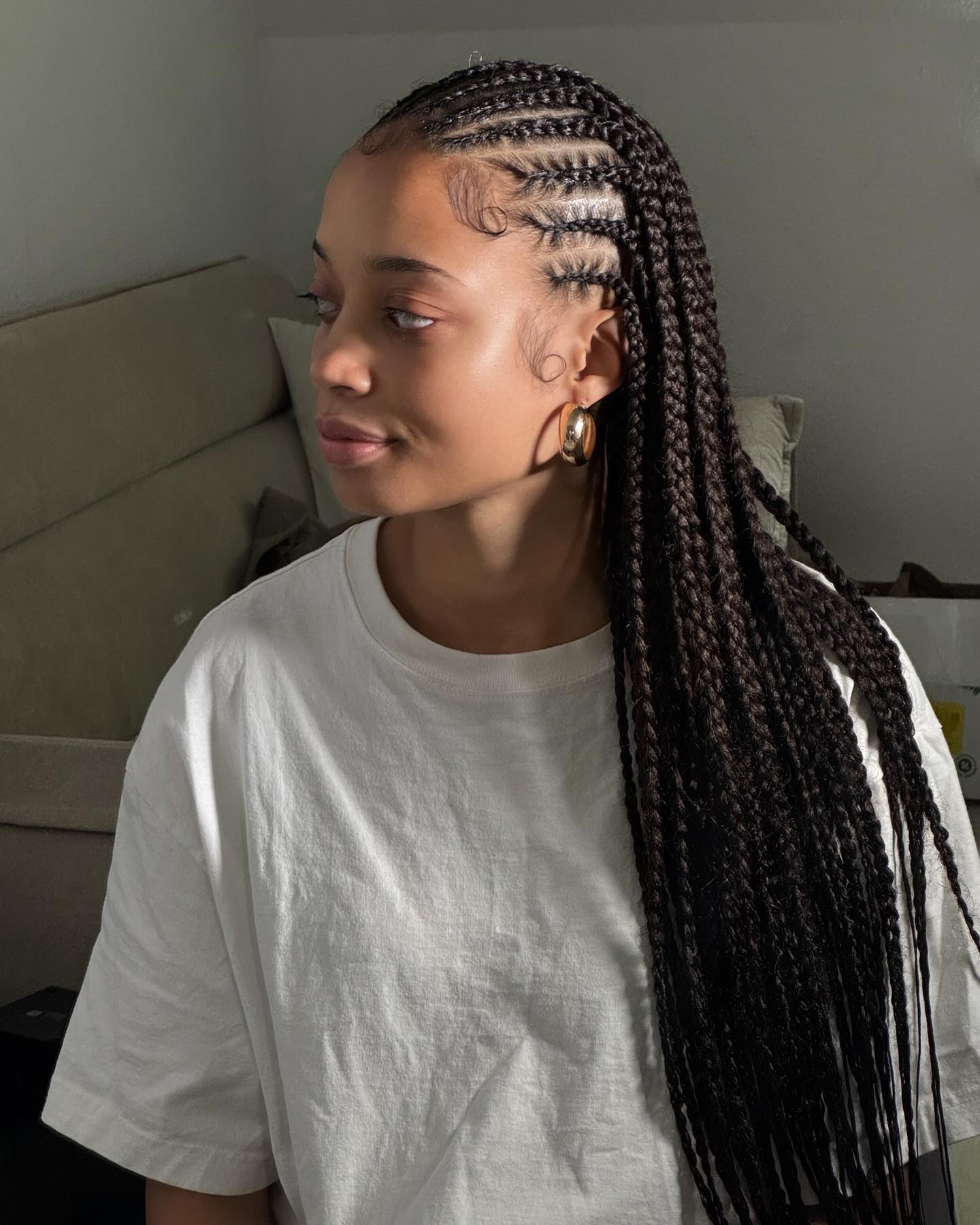 26 Stunning Fulani Braids Hairstyles for 2026 5 Chic Fulani Braids With Laid Baby Hairs