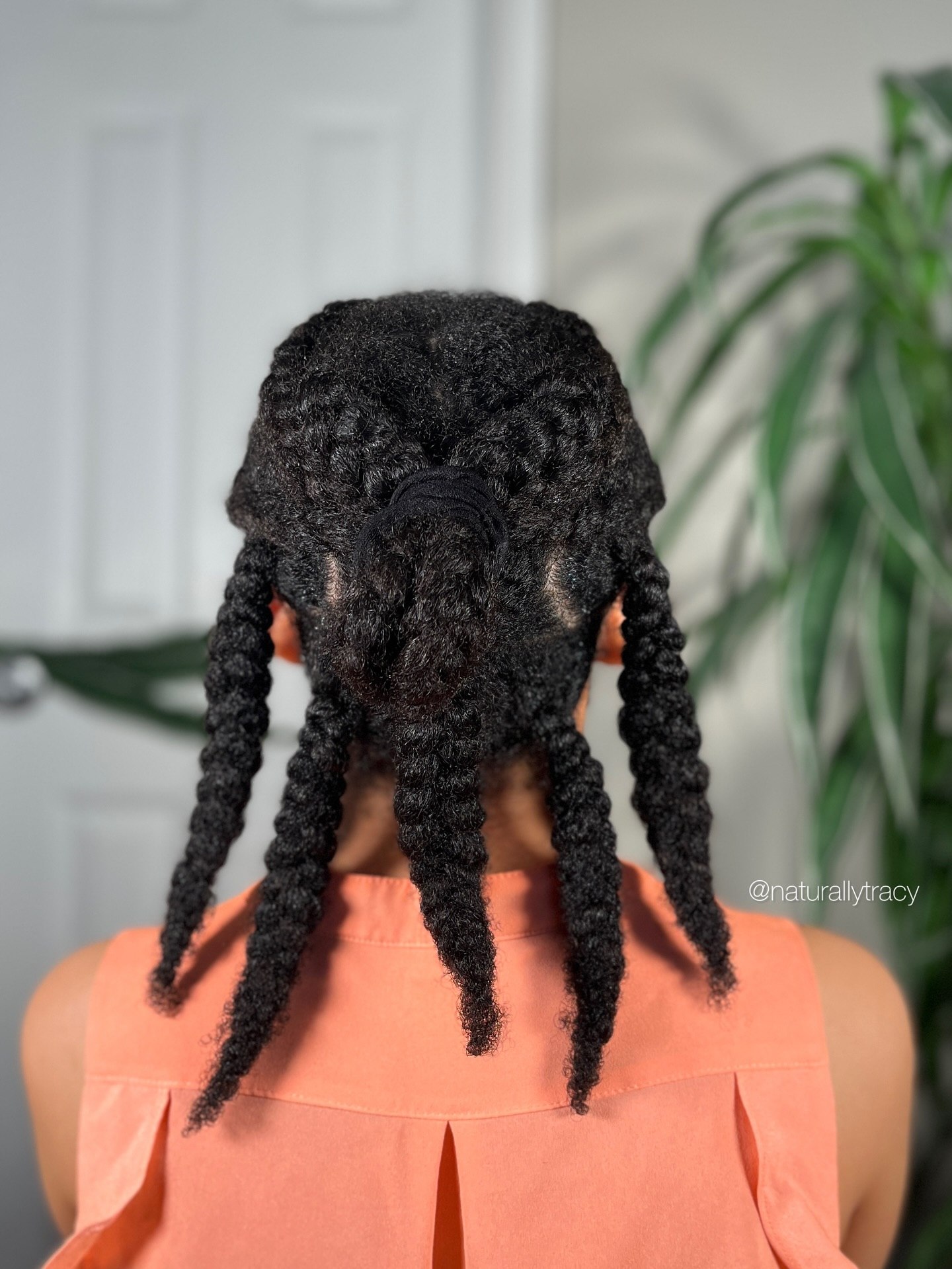 Chic Twist Out Protective Hairstyle for Natural Hair