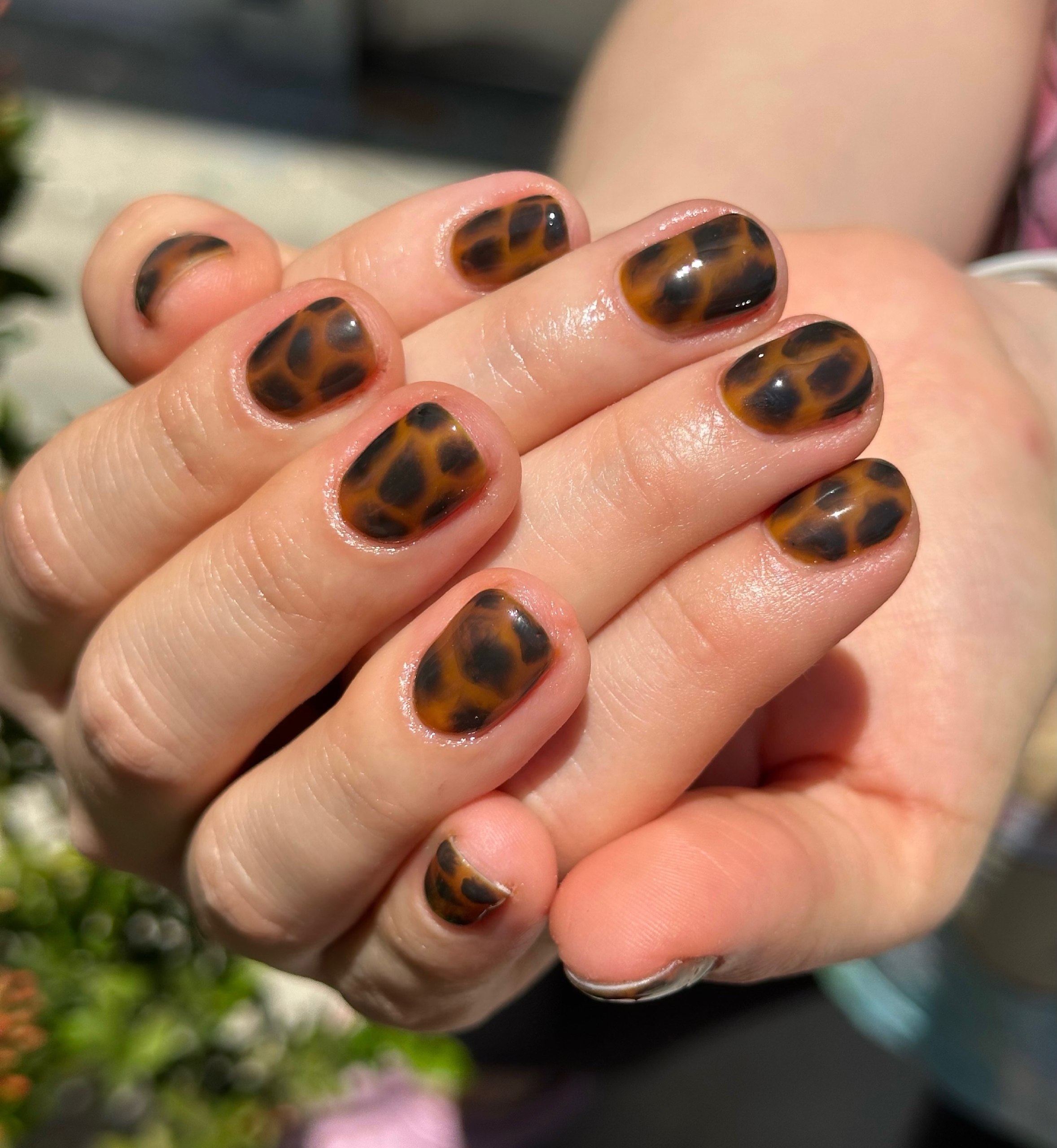 27 Must-Try Short Fall Nail Ideas for 2026 19 Classic Tortoiseshell Short Round Nails