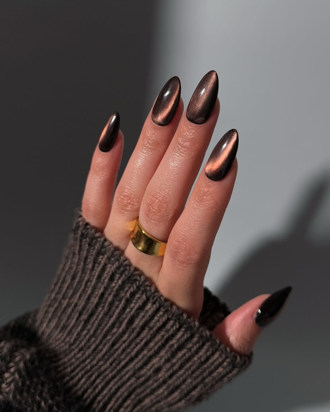Deep Brown Cat Eye Stiletto Nails