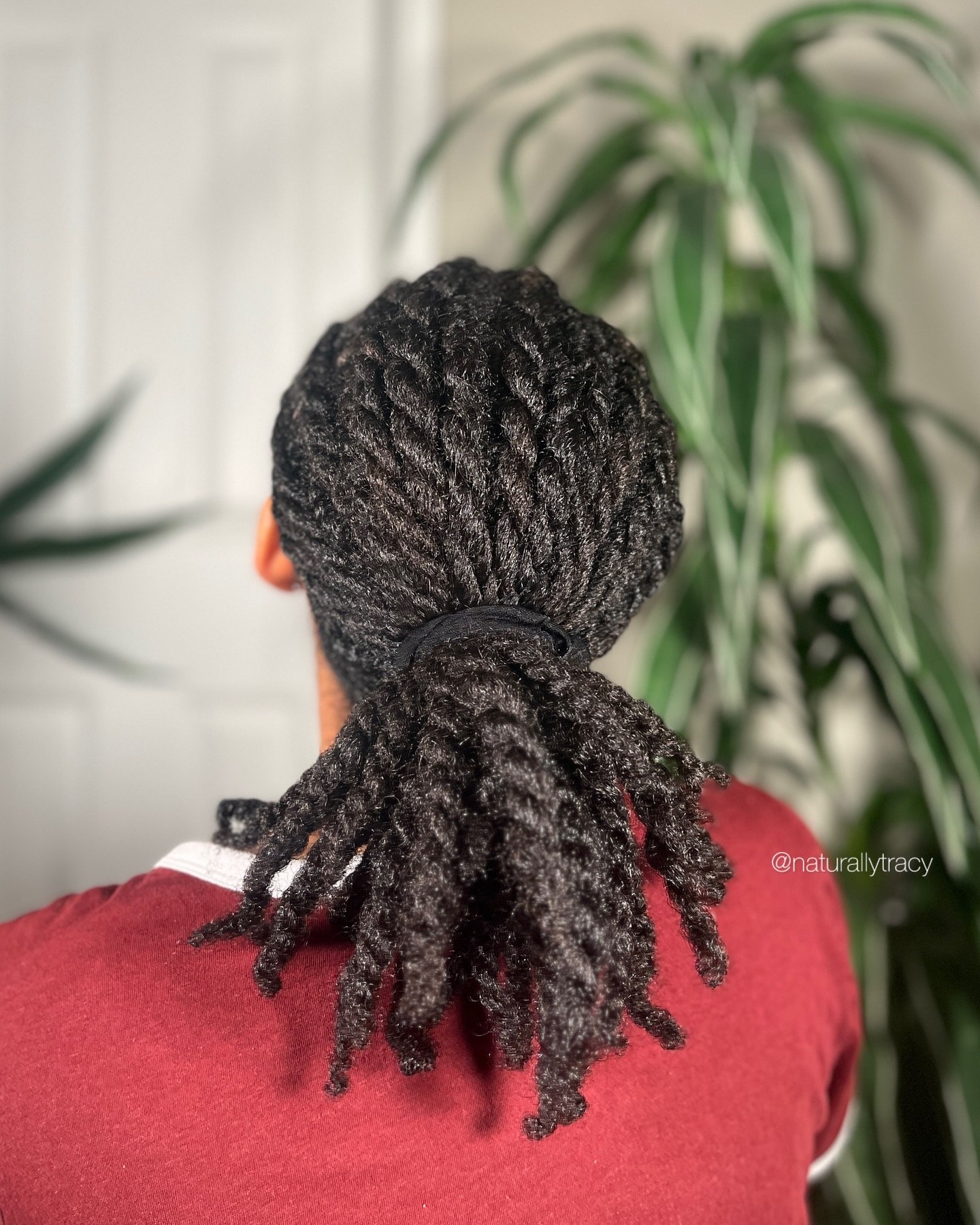 25 Stunning Type 4c Hairstyles You’ll See Everywhere in 2026 5 Defined Twist Out Low Ponytail For Type 4c Hair