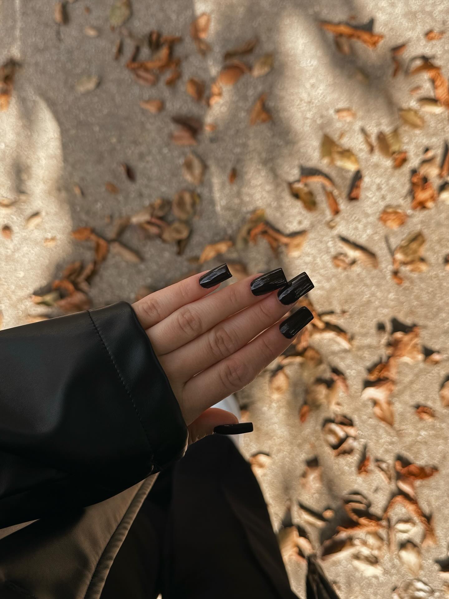 25 Fall Nail Ideas You Need to Try in 2026 23 Glossy Black Square Fall Nails