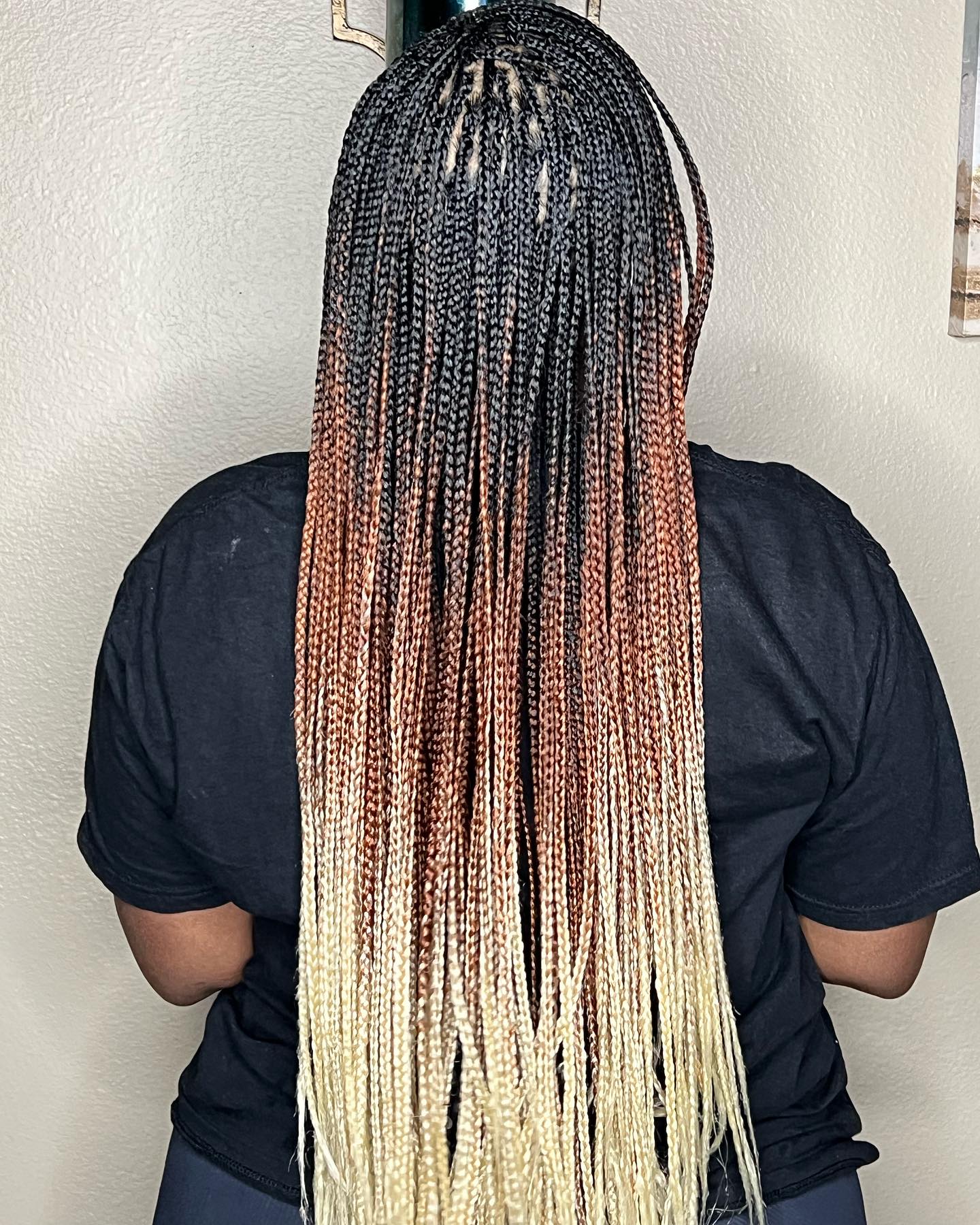 25 Fall Braids for 2026 You Need to Try Now 17 Ombre Box Braids With Blonde Tips