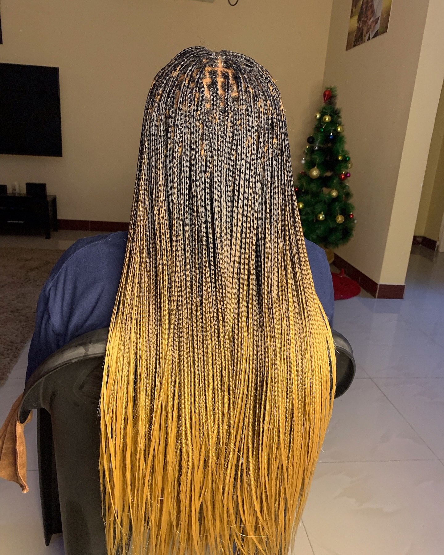 25 Protective Styles for Natural Hair Trends 2026 11 Ombre Micro Braids With Golden Blonde Tips
