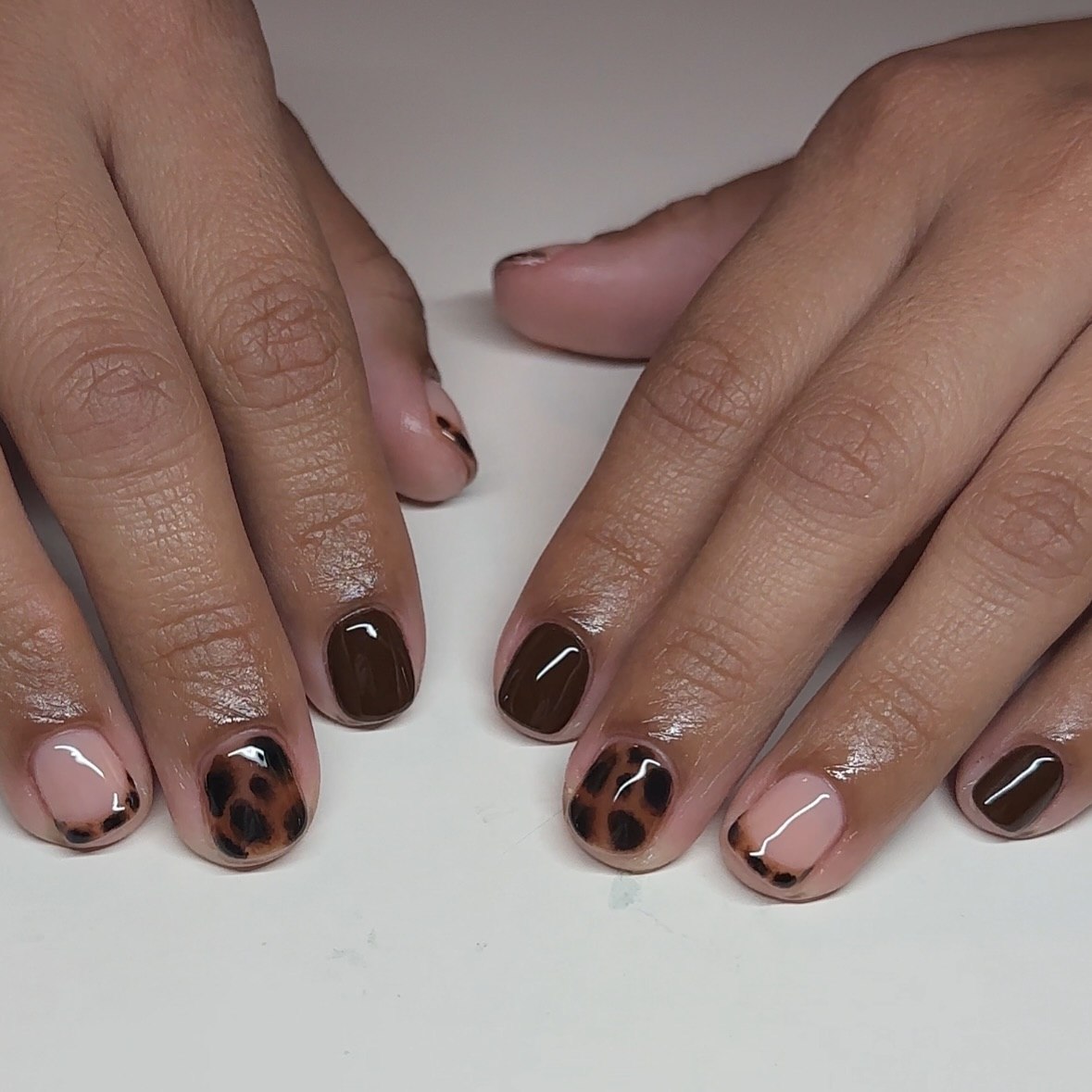 27 Must-Try Short Fall Nail Ideas for 2026 5 Short Chocolate Leopard Print French Tips