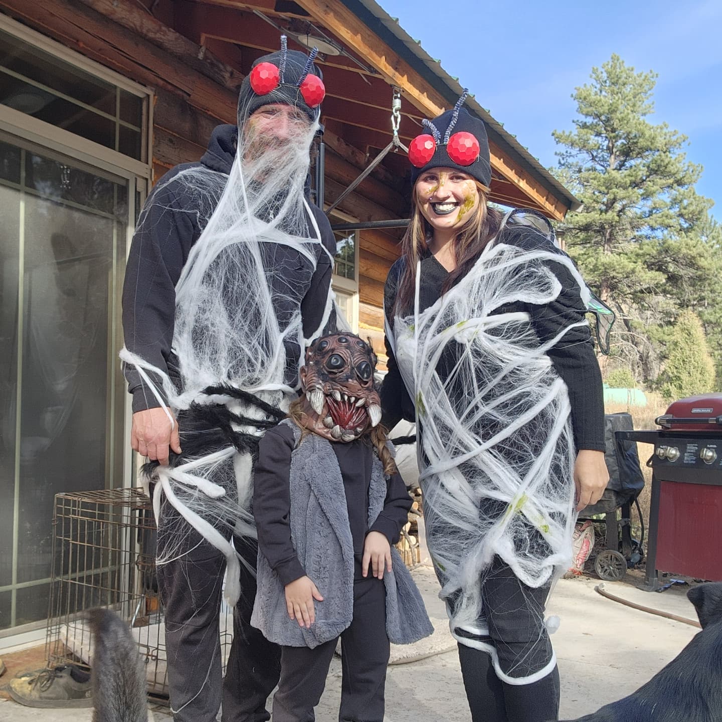 Spooky Spider Family Halloween Costumes
