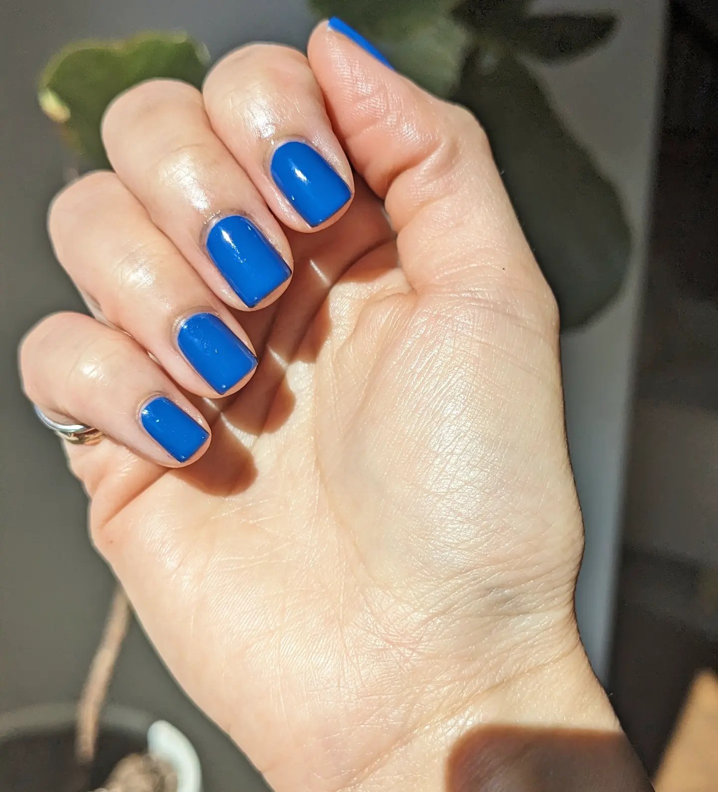 27 End of Summer Nail Ideas for 2026 4 Vibrant Royal Blue Glossy Short Squoval Nails