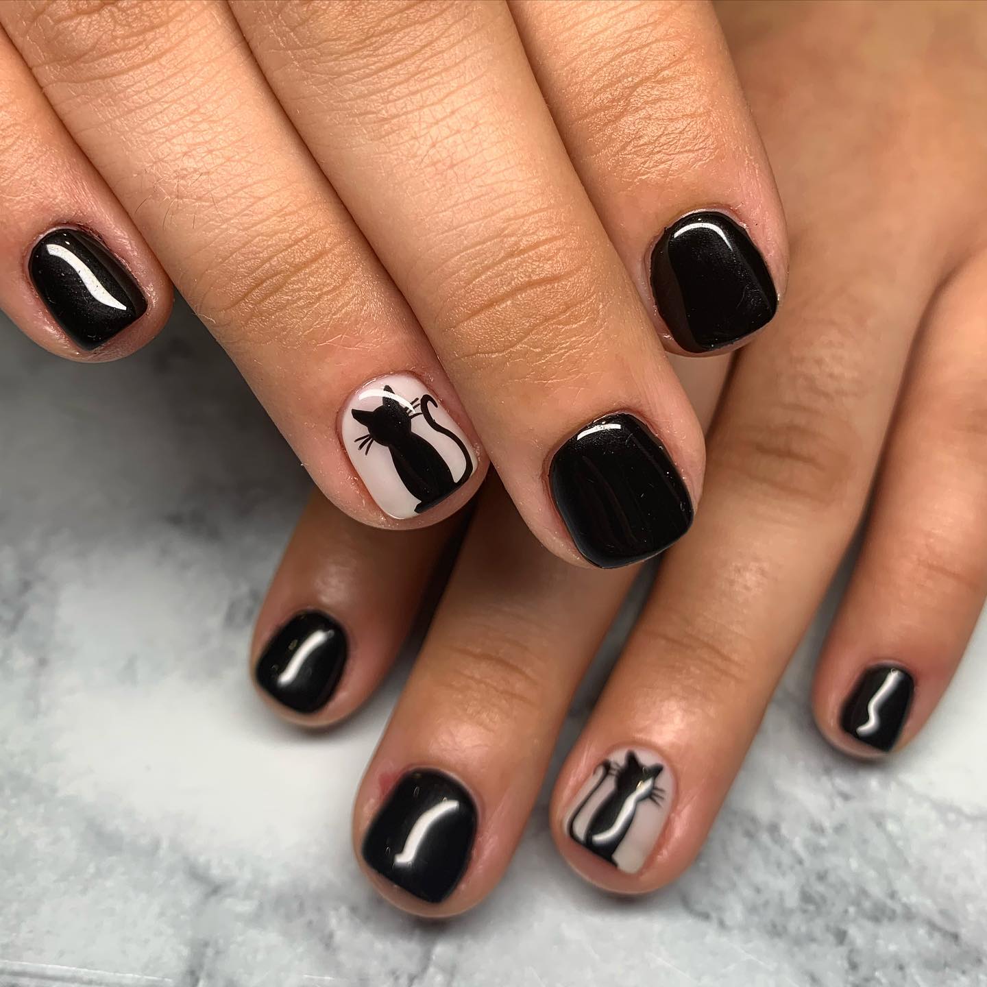 Glossy Black Cat French Tip Nails
