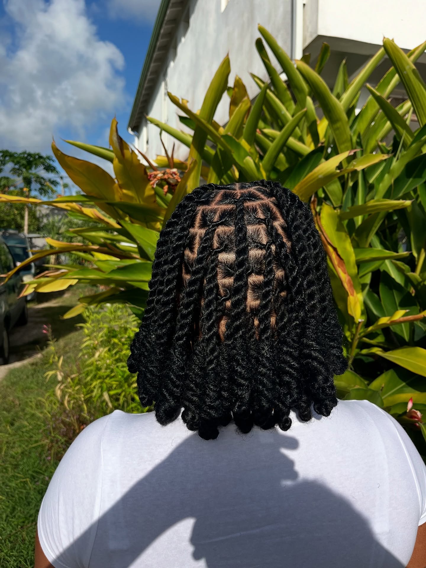 Short Rope Twist Locs With Defined Parts