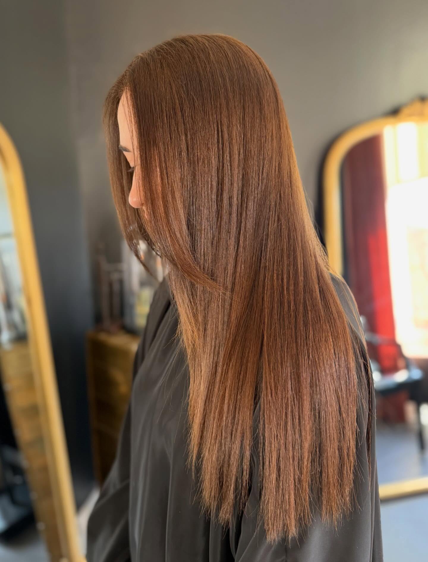 Sleek And Straight Long Chestnut Brown Hair