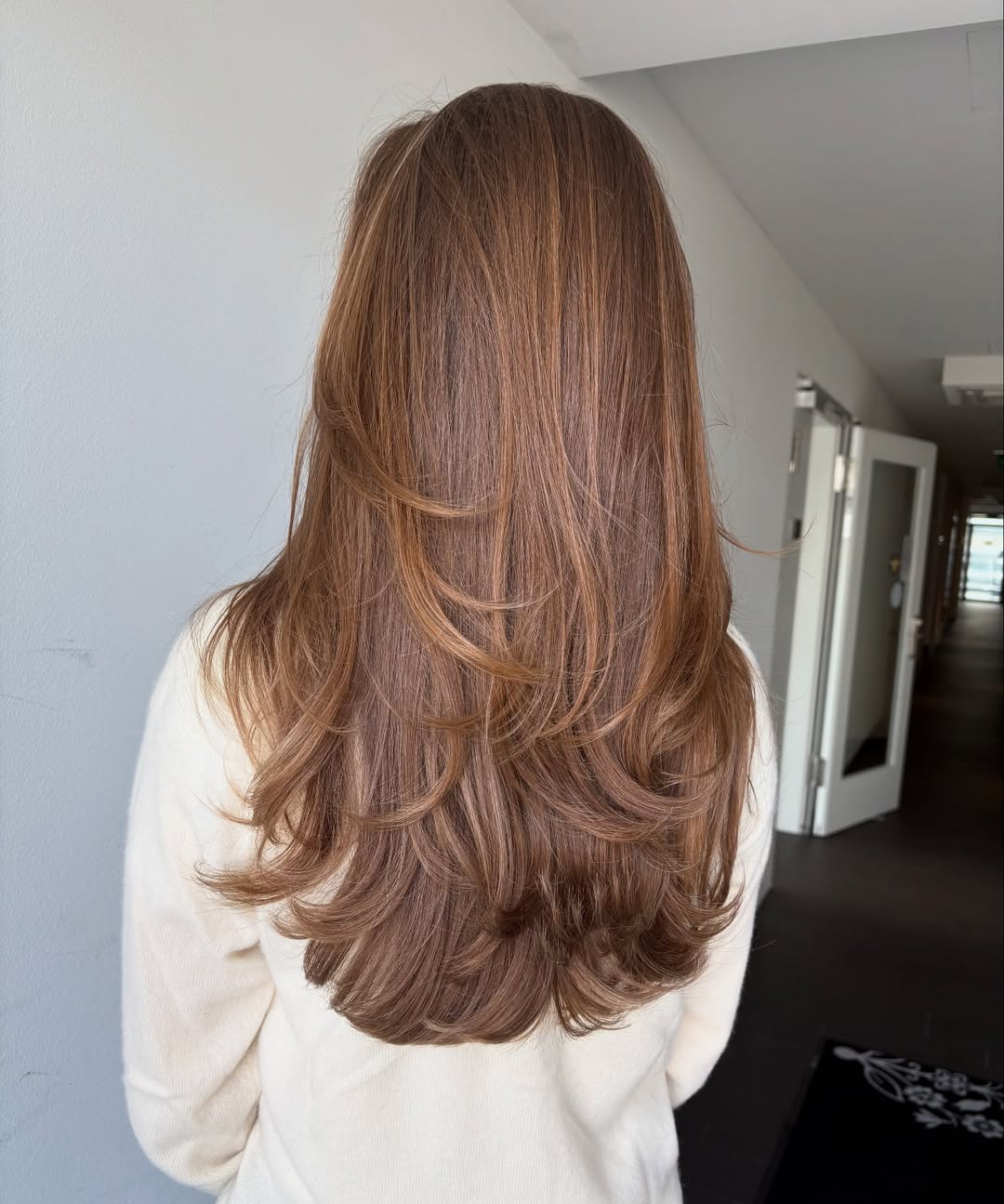 Soft Layered Cut With Chestnut Brown Blowout
