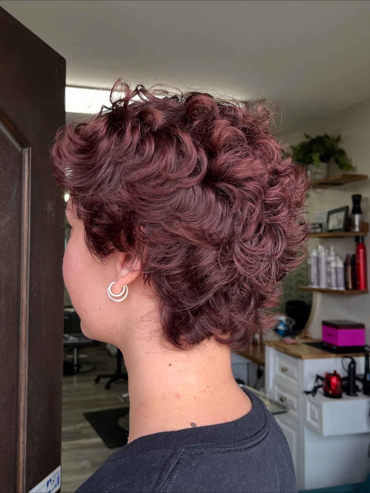 Textured Plum Curly Pixie Cut