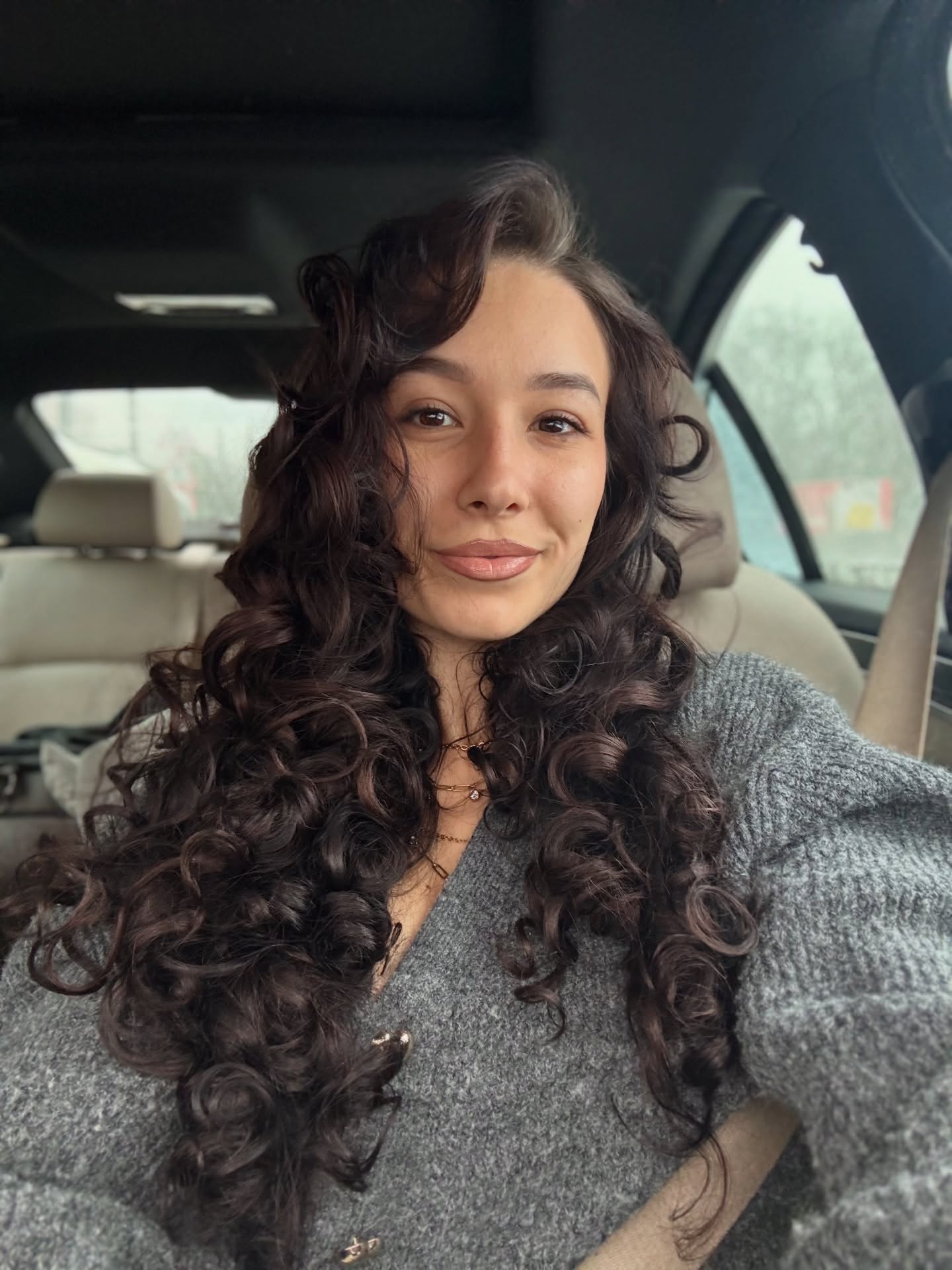 Voluminous Dark Curls With Subtle Auburn Highlights