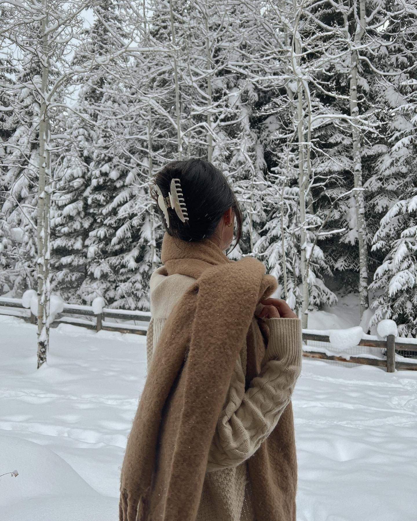 Chic Claw Clip Updo With Dark Brown Hair